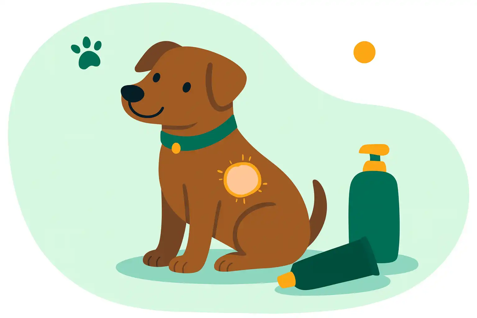 Лишай у собак: симптомы, лечение и профилактика 2025