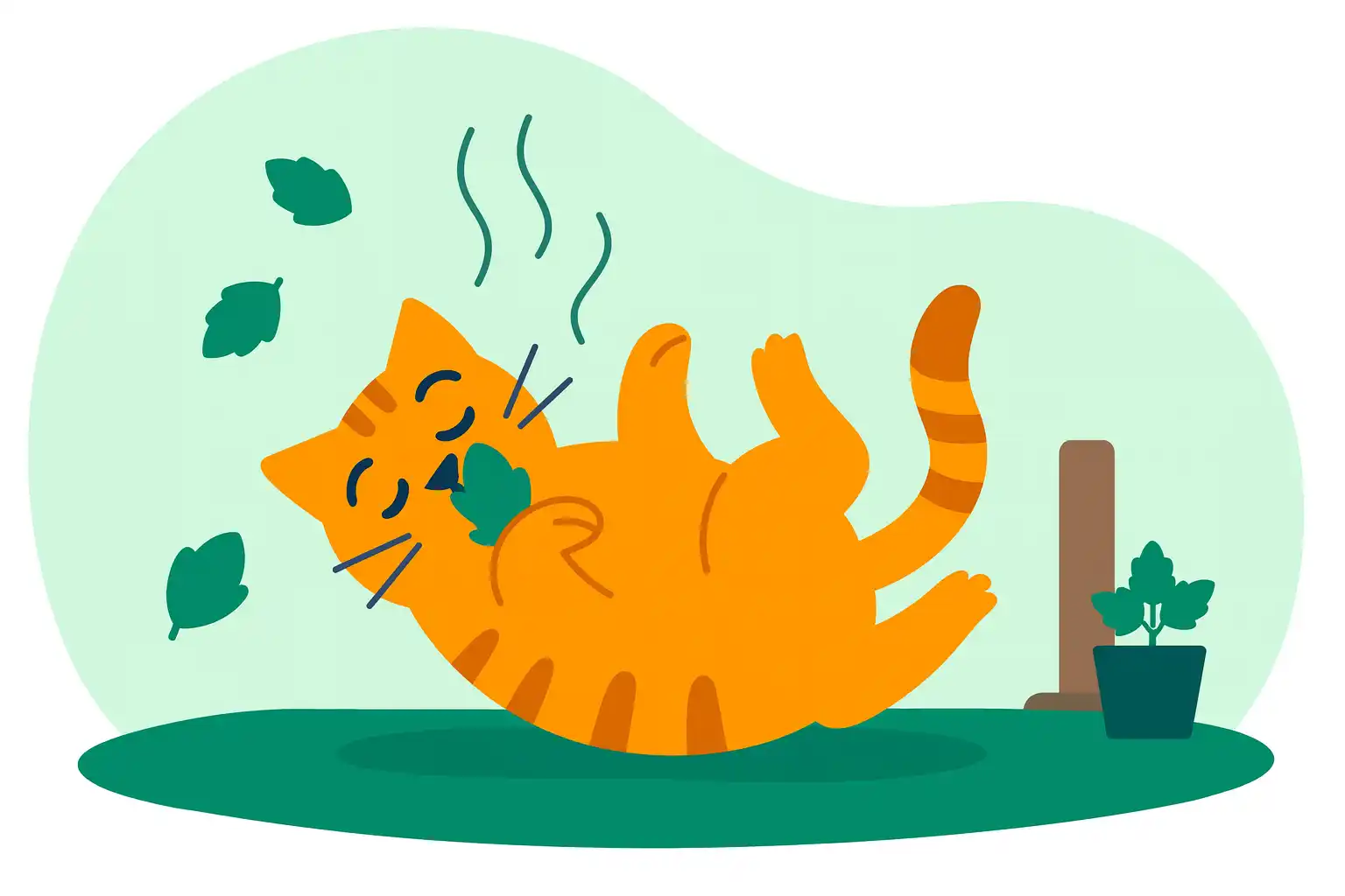 Кошачья мята: что это, как действует и как применять