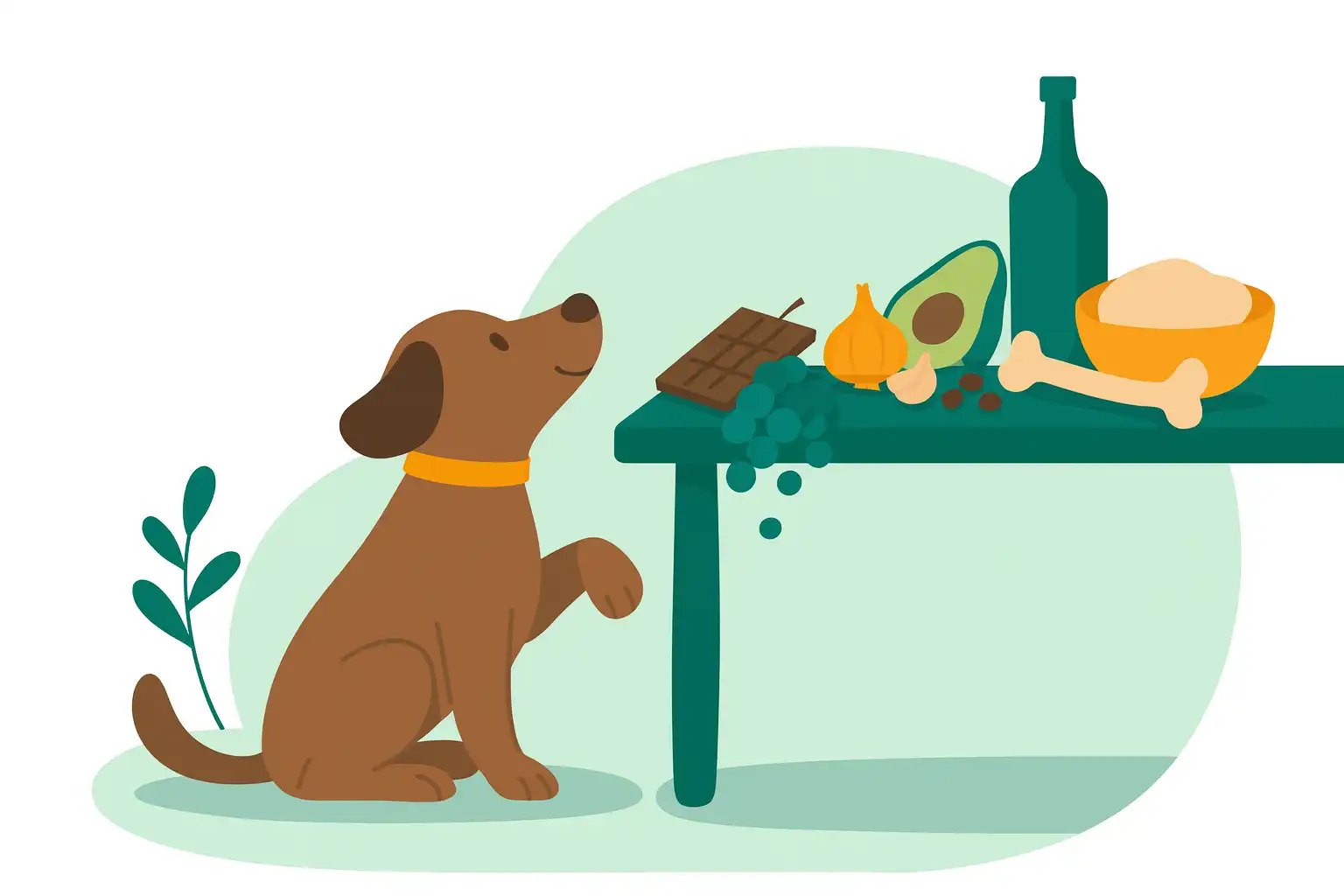 Чем нельзя кормить собаку: список опасных продуктов