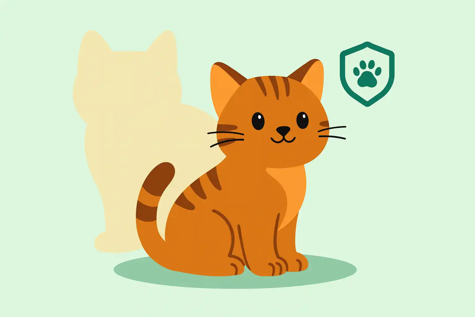 В каком возрасте брать котенка