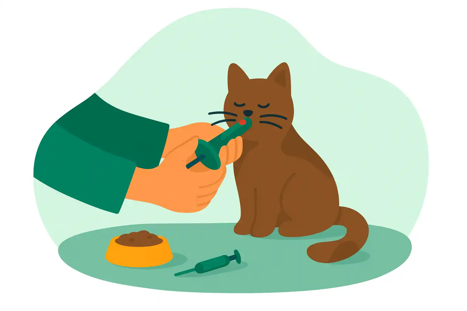 Как дать таблетку кошке: 4 способа сделать это без стресса