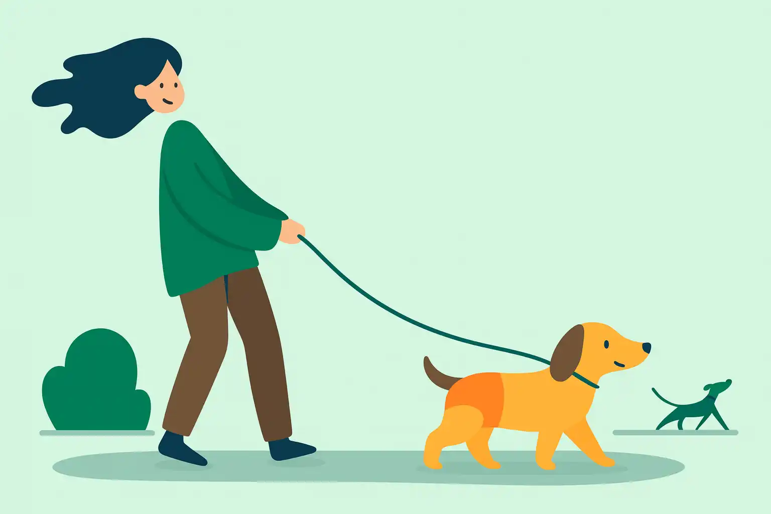 Течка у собак: признаки, сроки, уход 