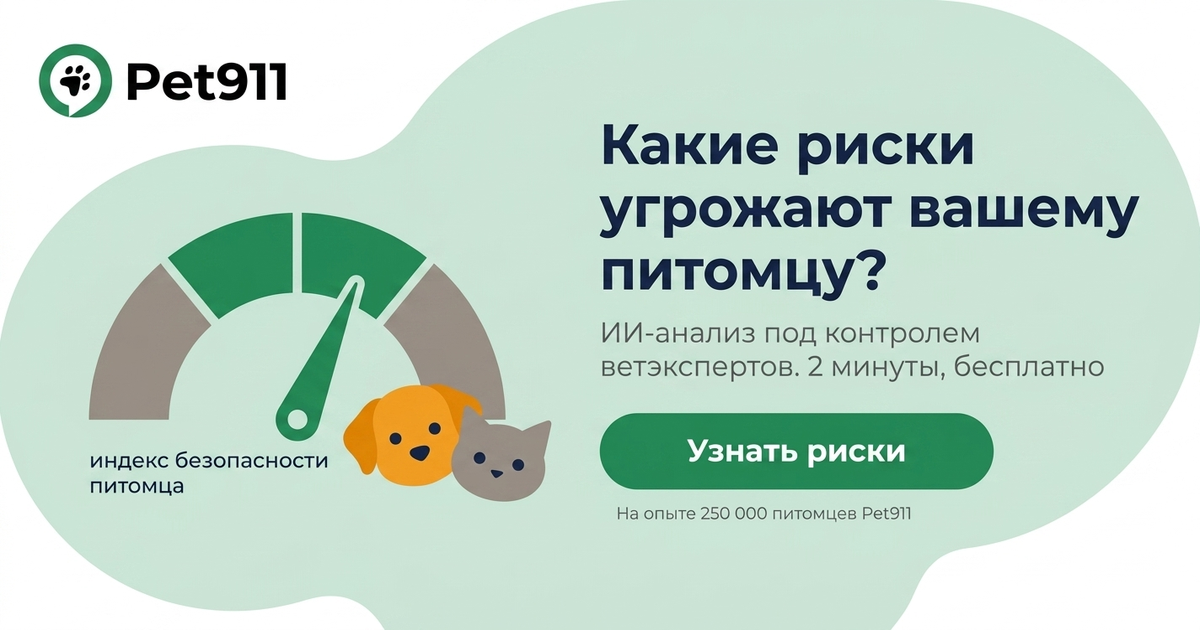 Какие риски угрожают вашему питомцу? ИИ-анализ под контролем ветэкспертов.