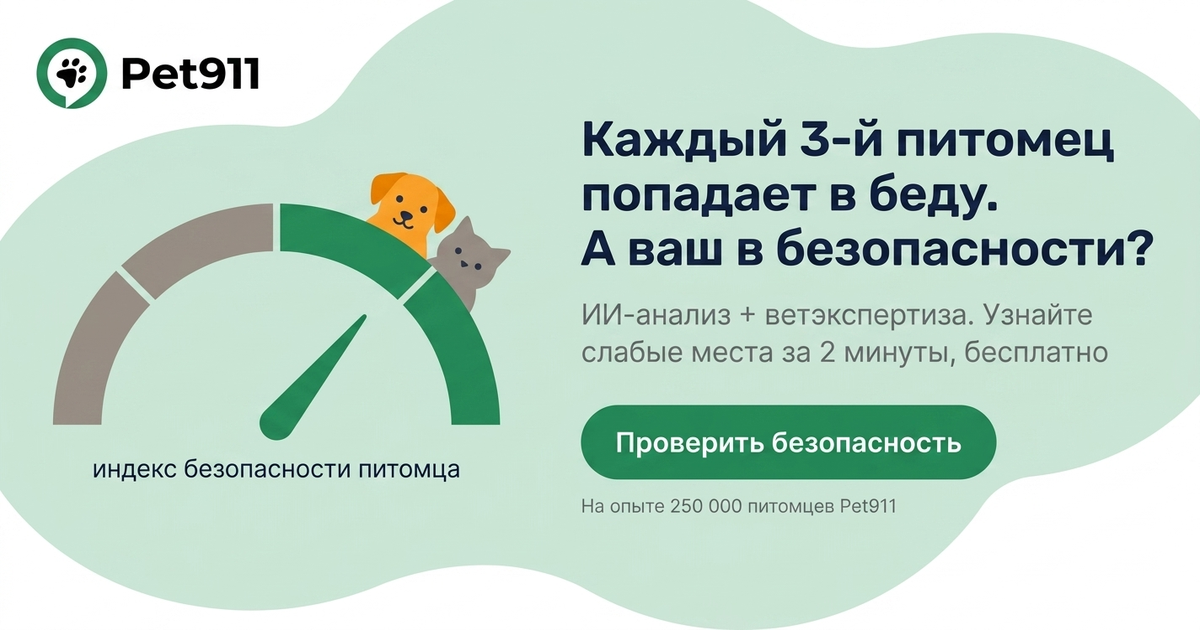Каждый 3-й питомец попадает в беду. А ваш в безопасности?