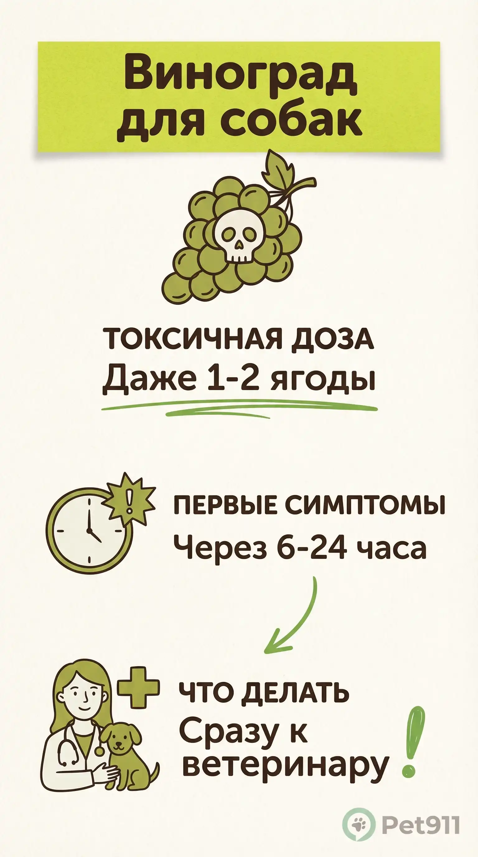 Инфографика: Виноград для собак