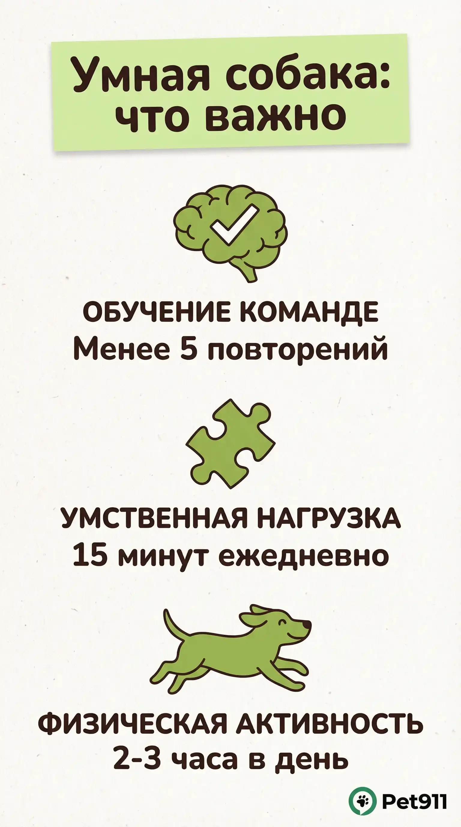 Инфографика: Умная собака: что важно