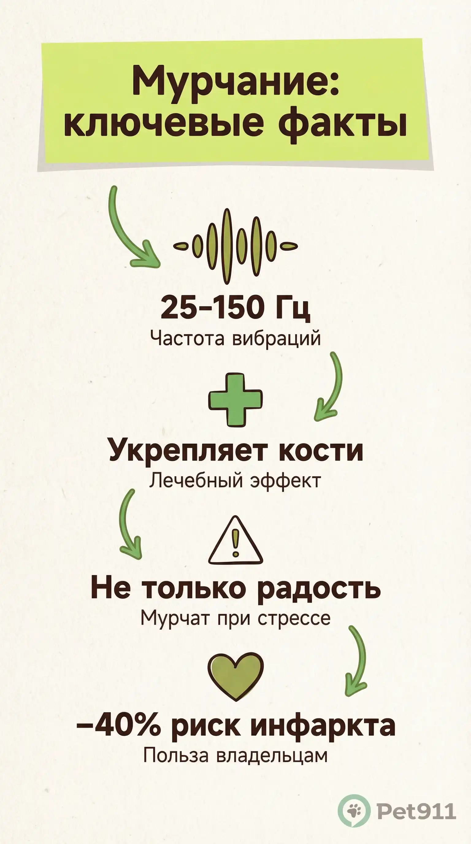 Инфографика: Мурчание: ключевые факты