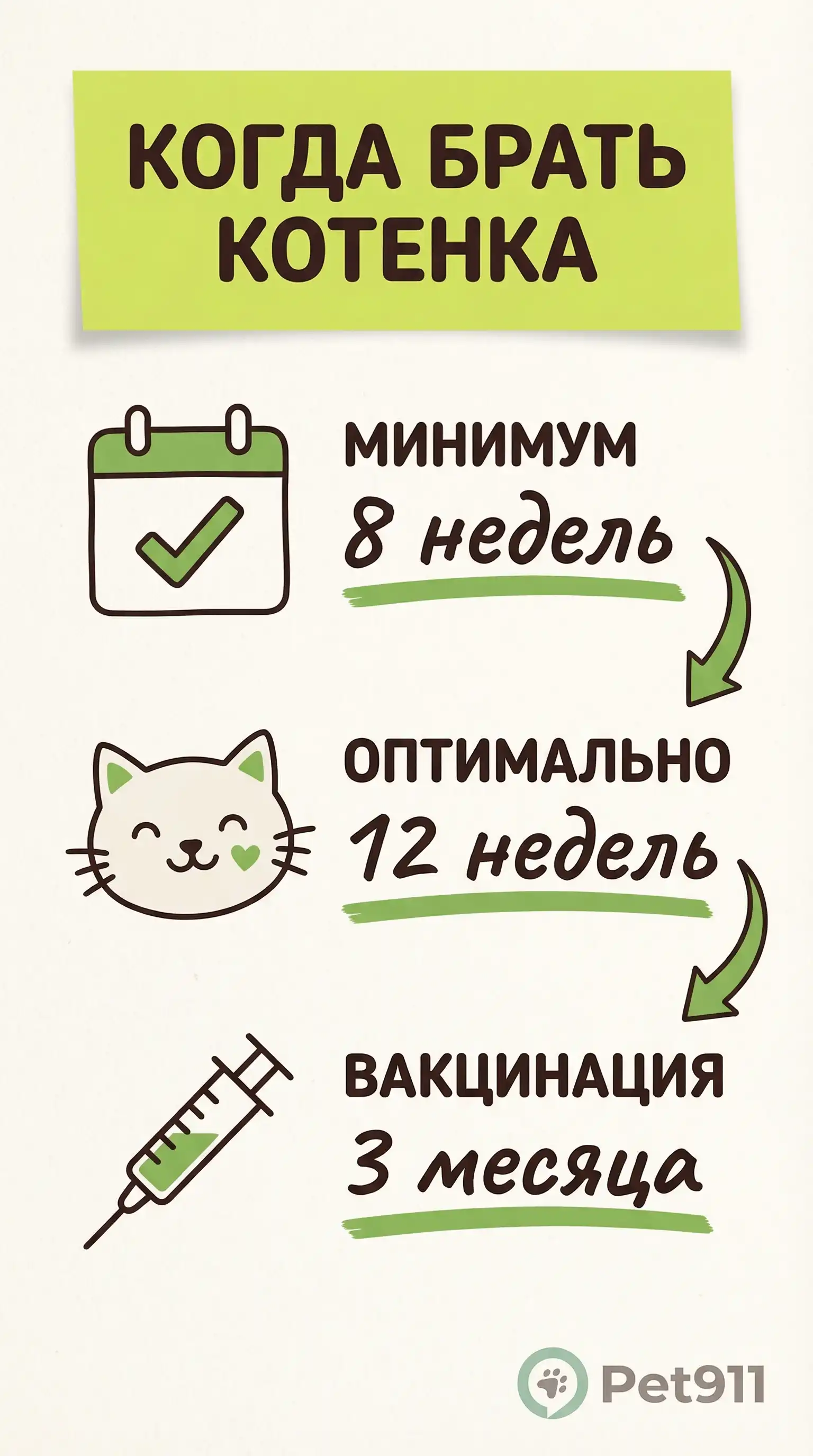 Инфографика: Когда брать котенка