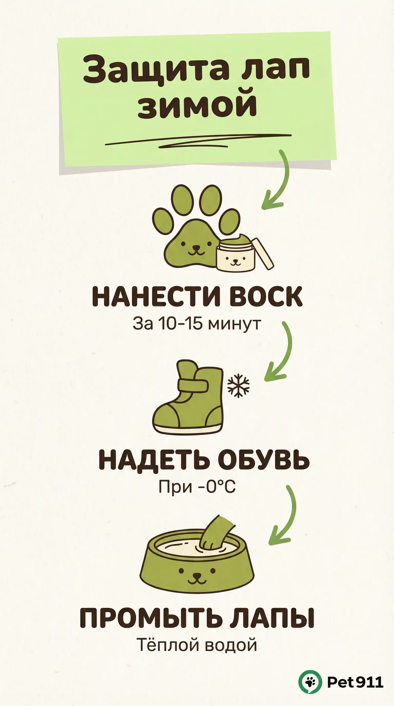 Инфографика: Защита лап зимой