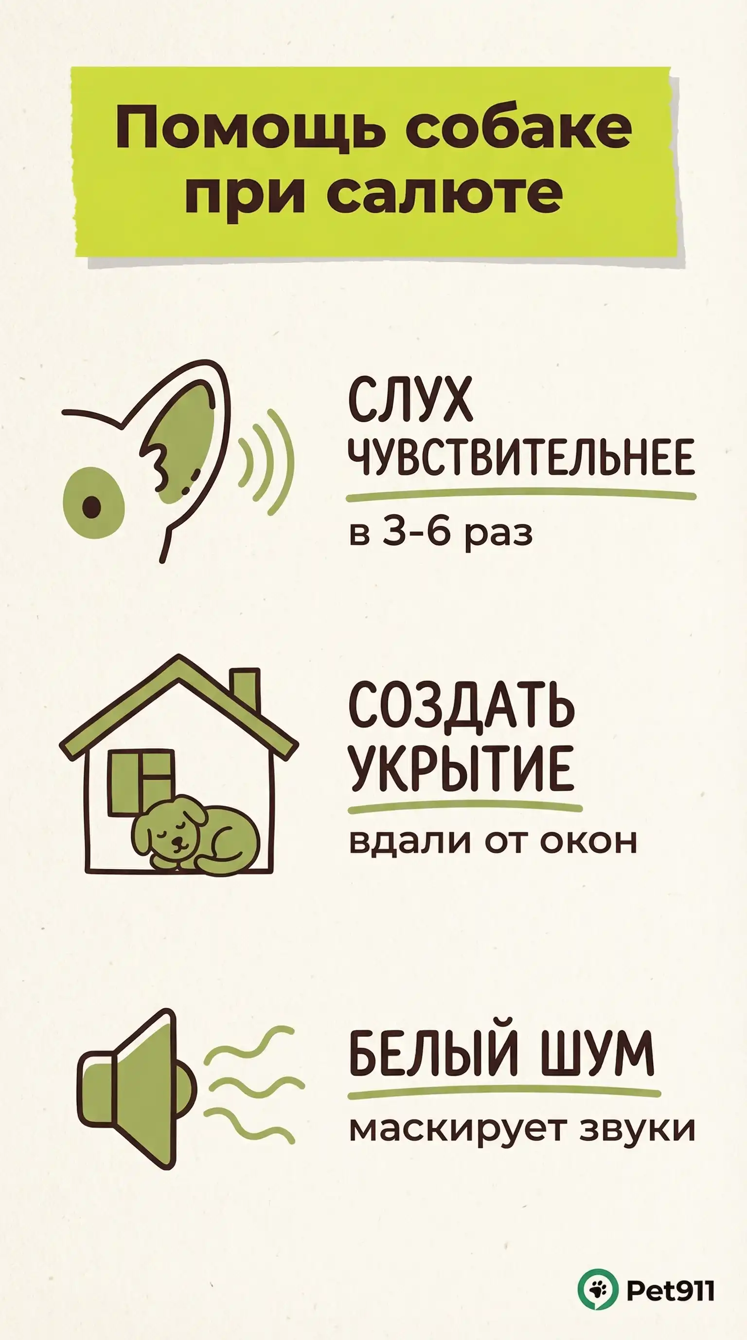 Инфографика: Помощь собаке при салюте