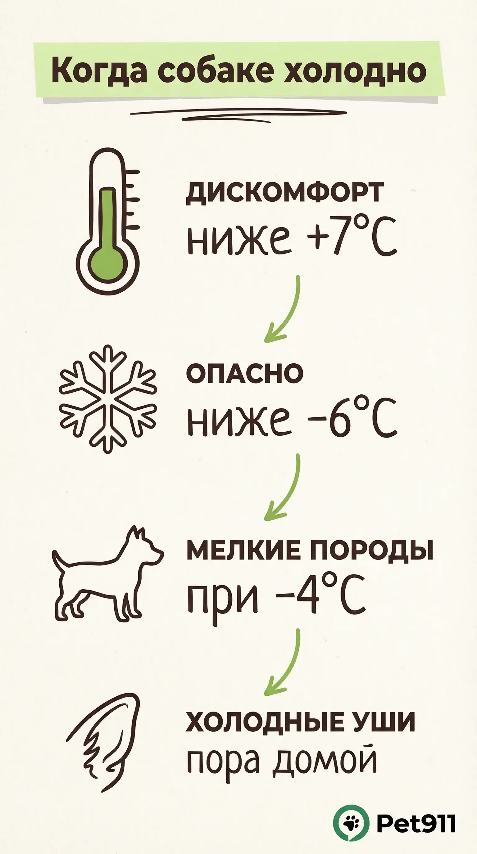 Инфографика: Когда собаке холодно