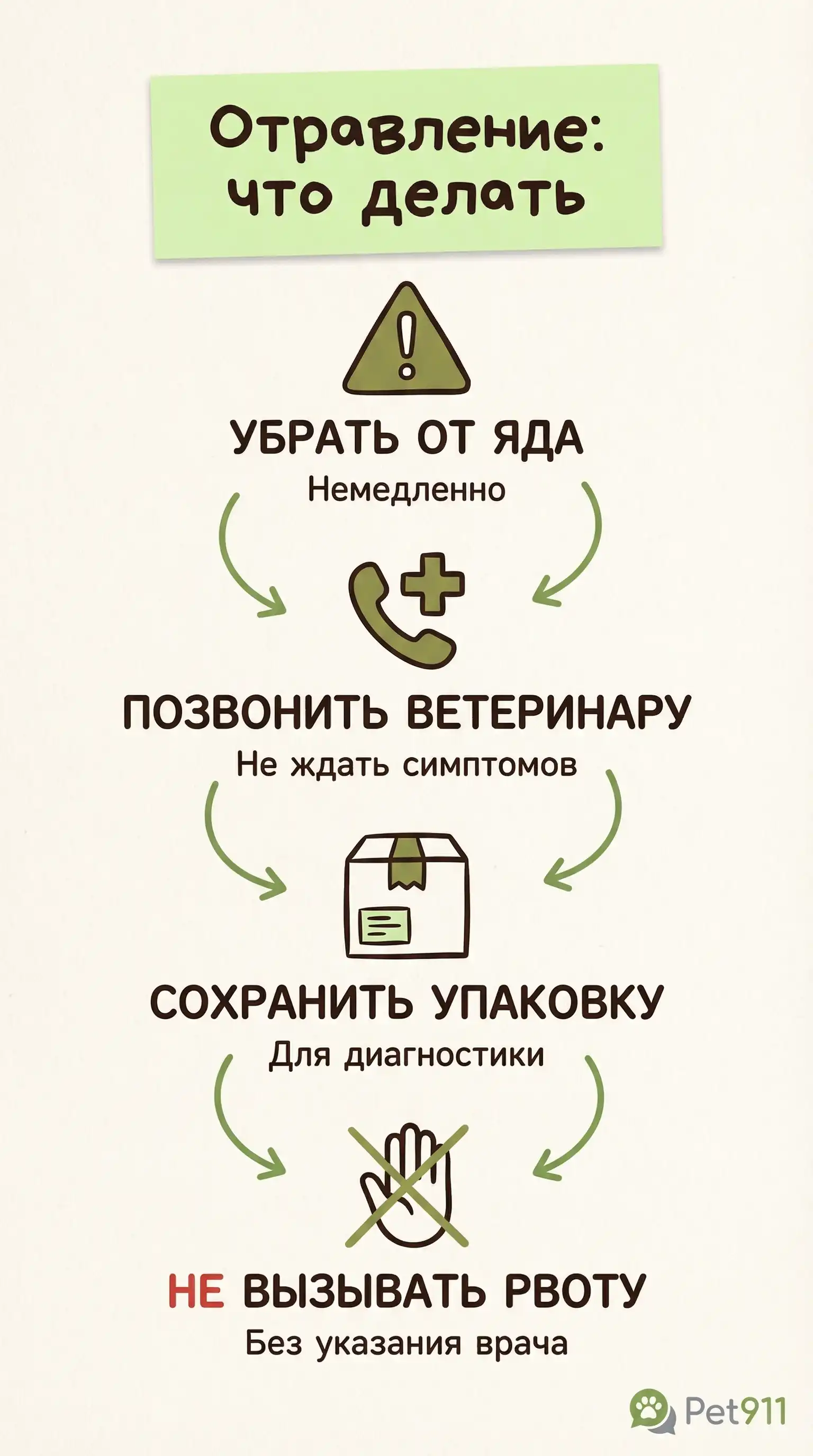 Инфографика: Отравление: что делать