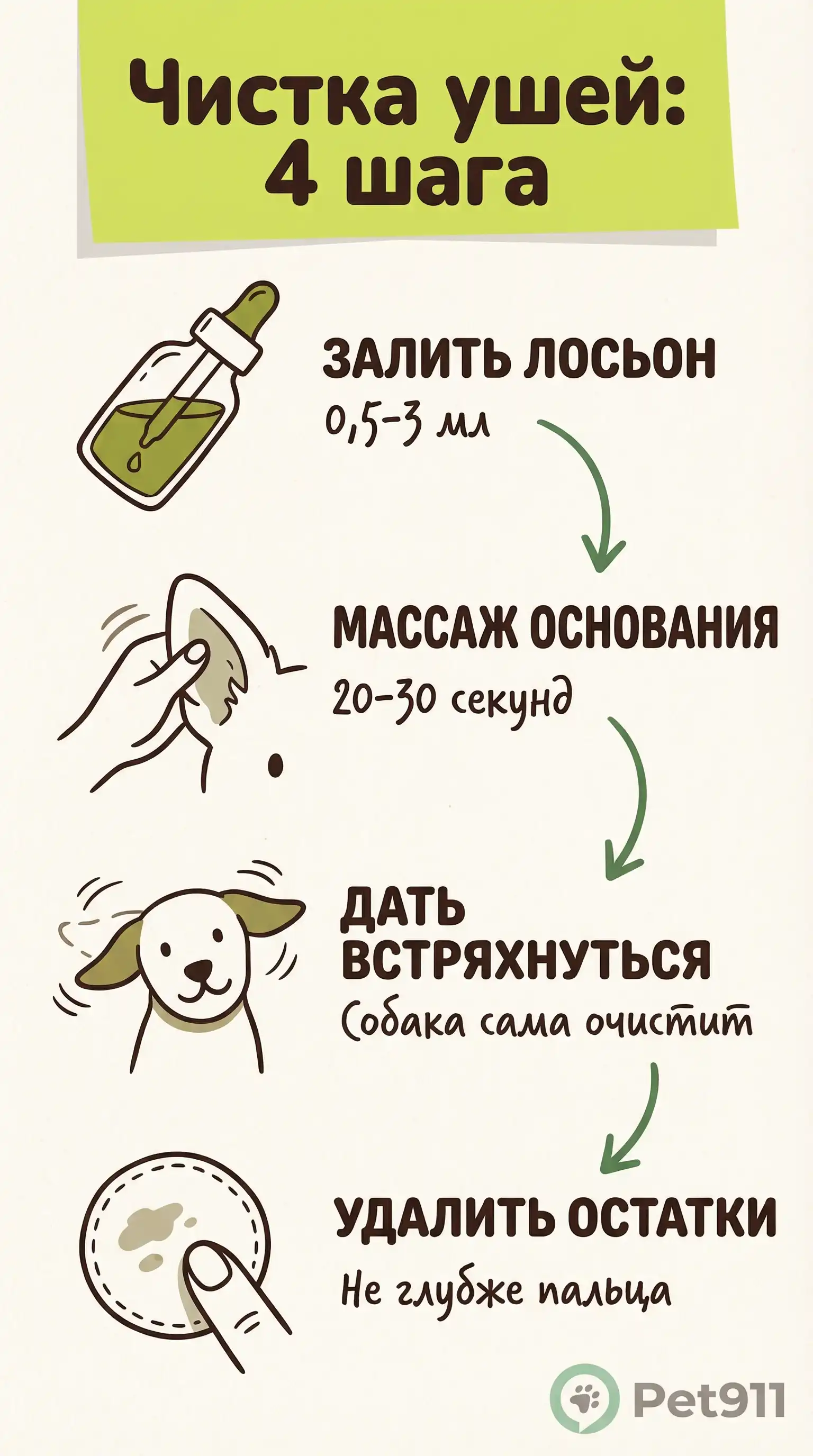 Инфографика: Чистка ушей: 4 шага