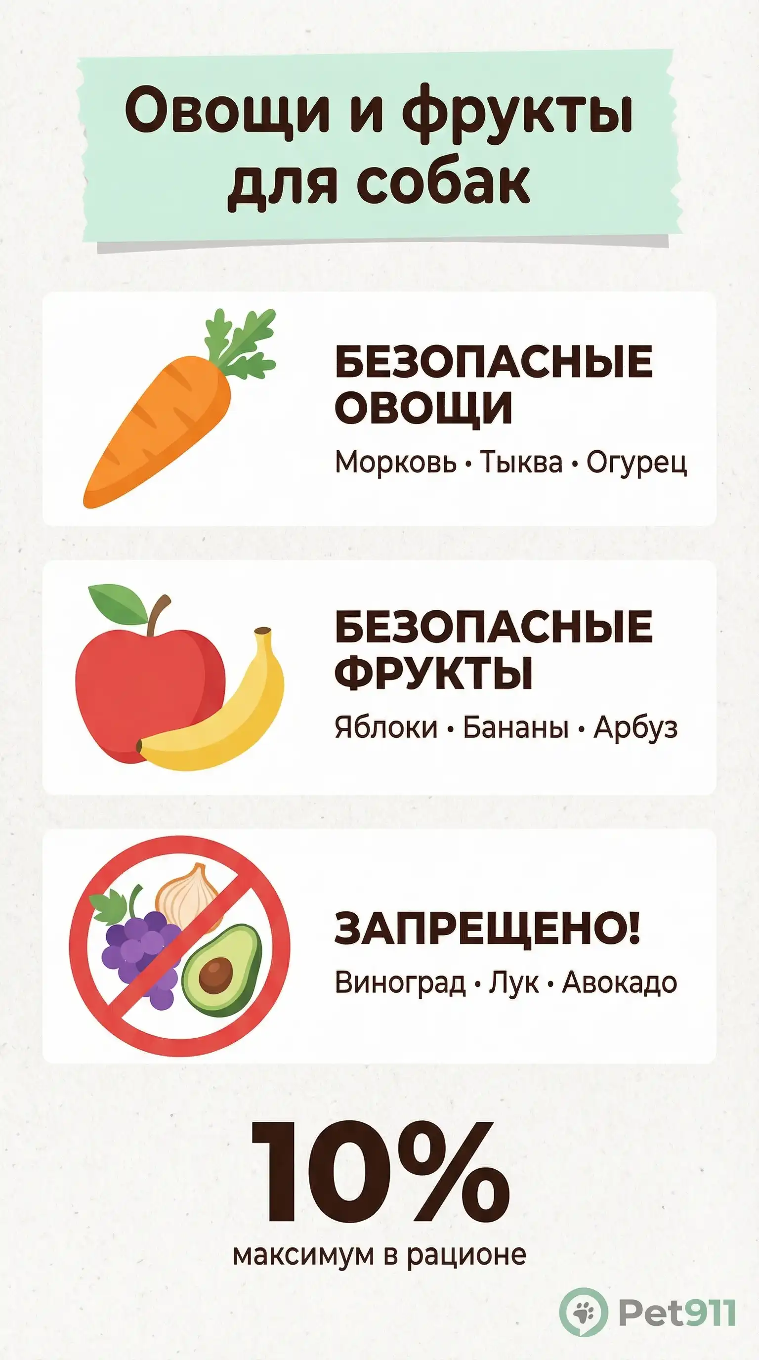 Инфографика: Овощи и фрукты для собак