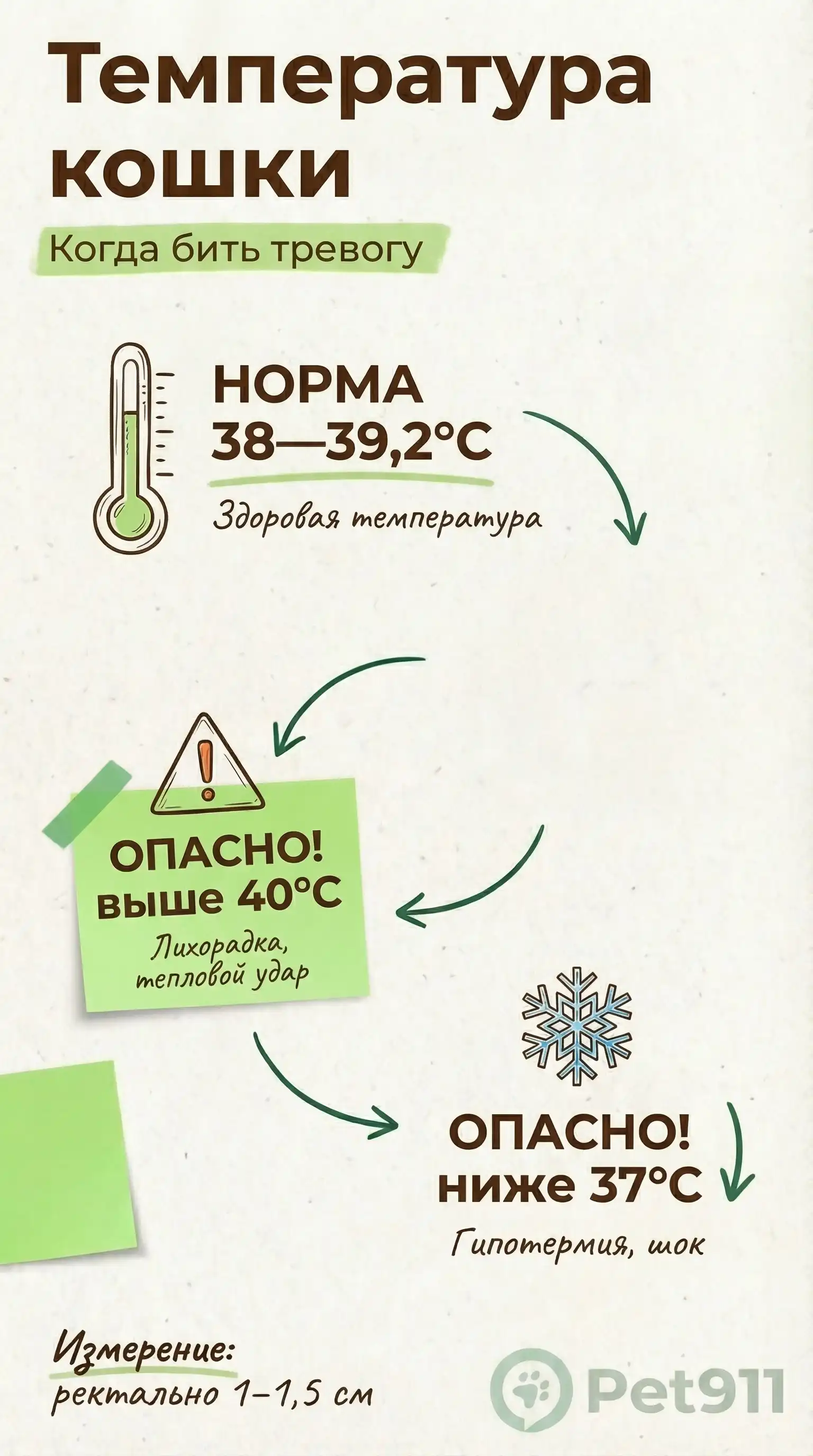 Инфографика: Температура кошки