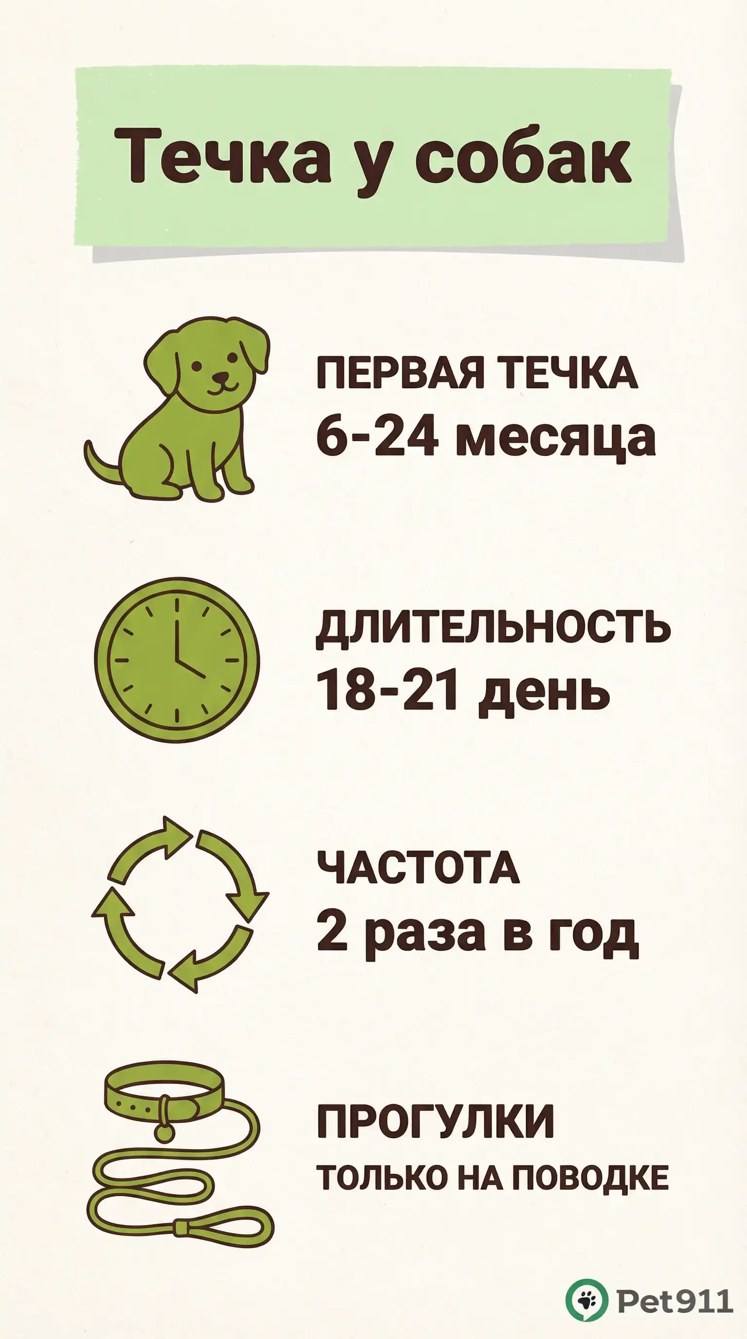 Инфографика: Течка у собак