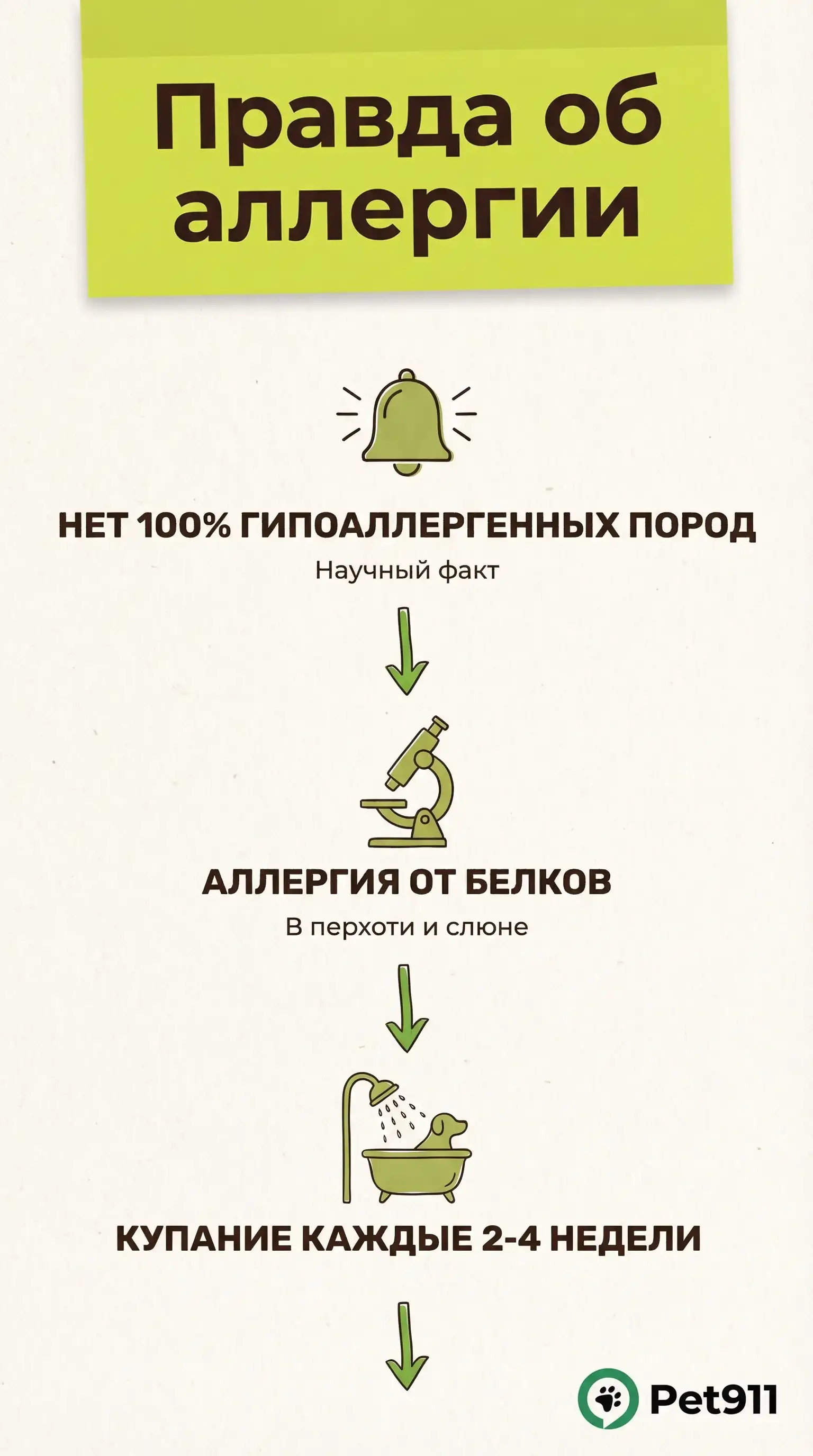 Инфографика: Правда об аллергии