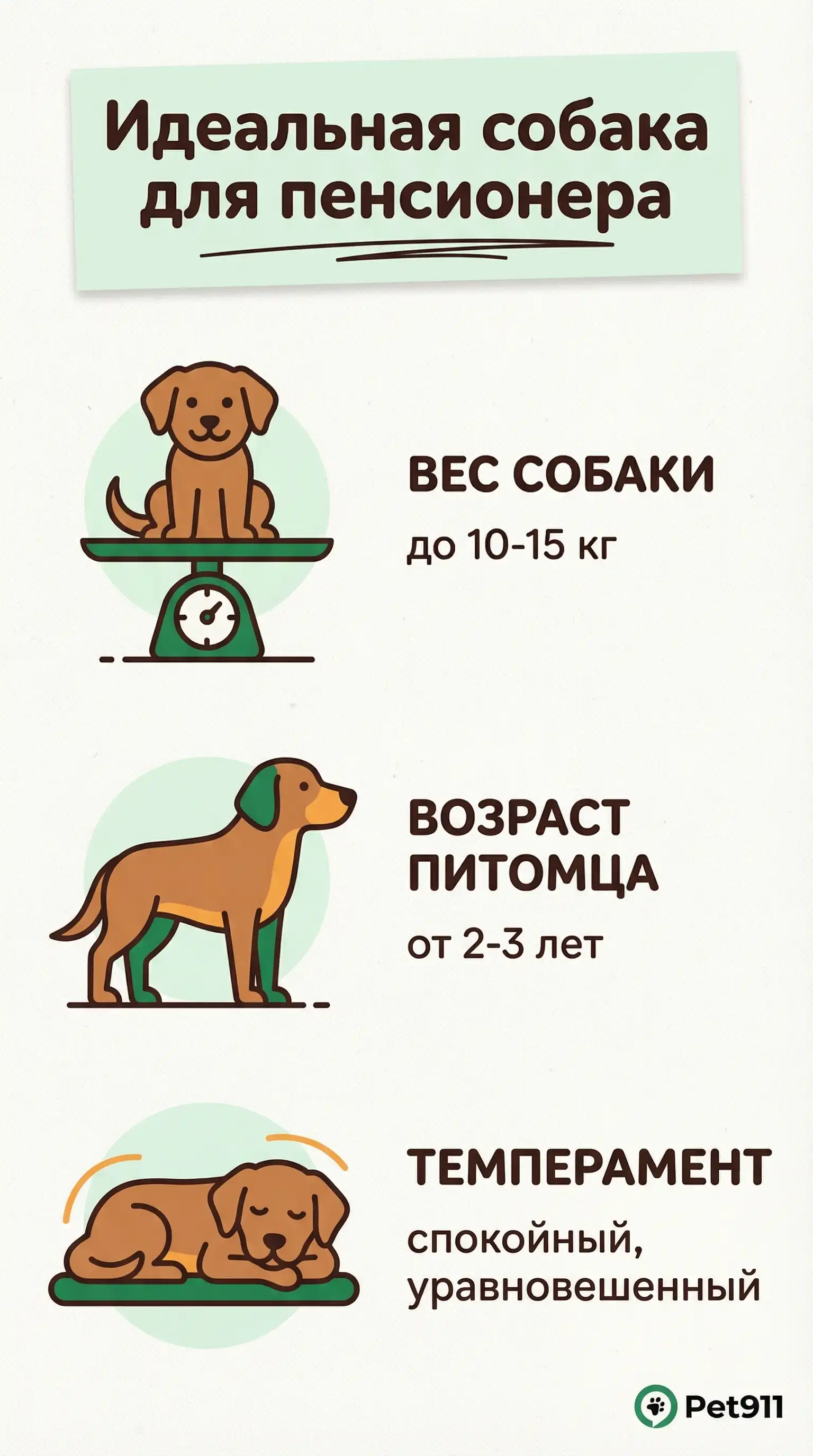 Инфографика: Идеальная собака для пенсионера