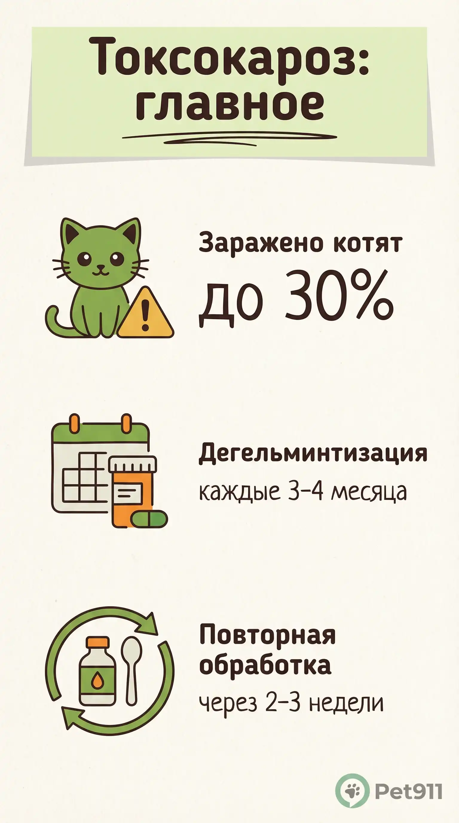 Инфографика: Токсокароз: главное