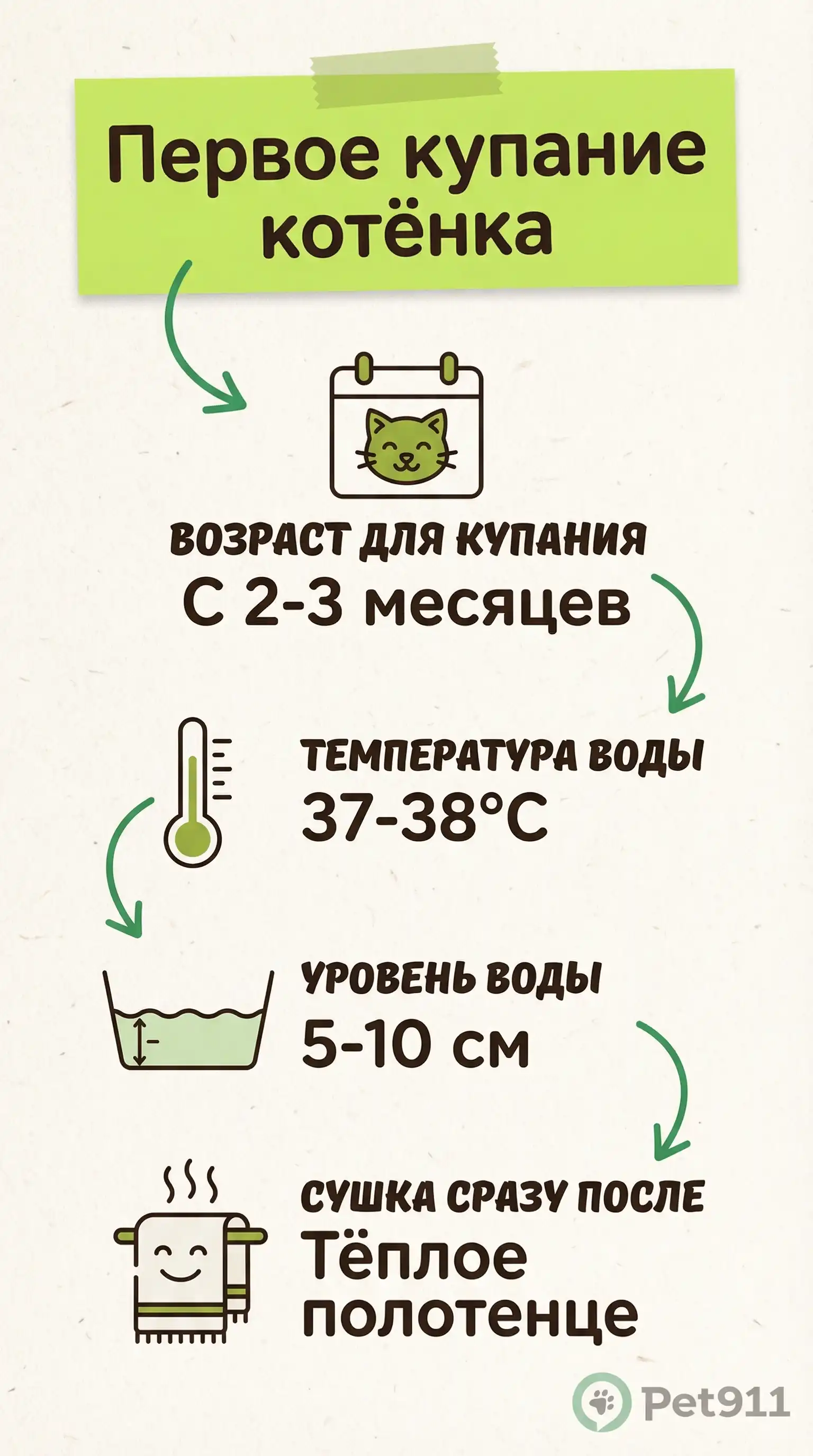 Инфографика: Первое купание котёнка