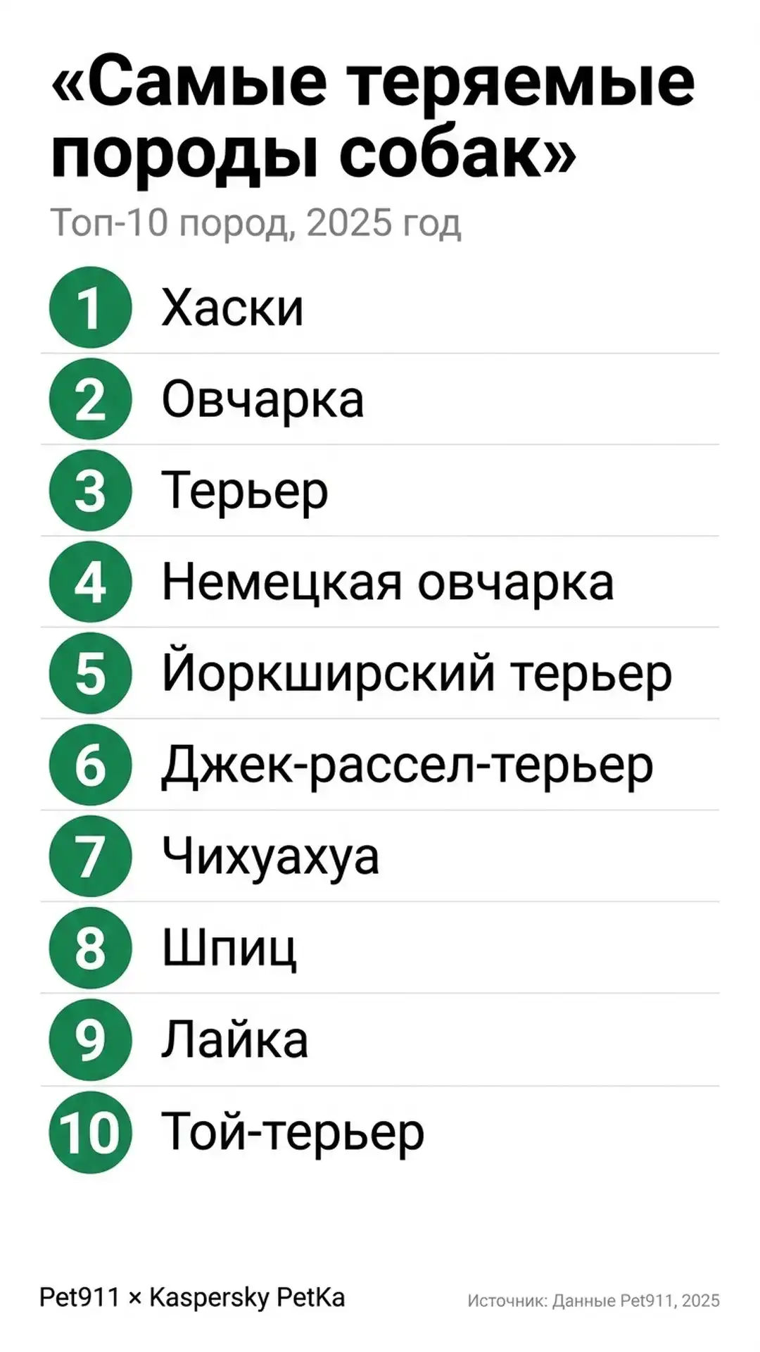 Хаски смотрит на открытую калитку демонстрируя склонность породы к побегам