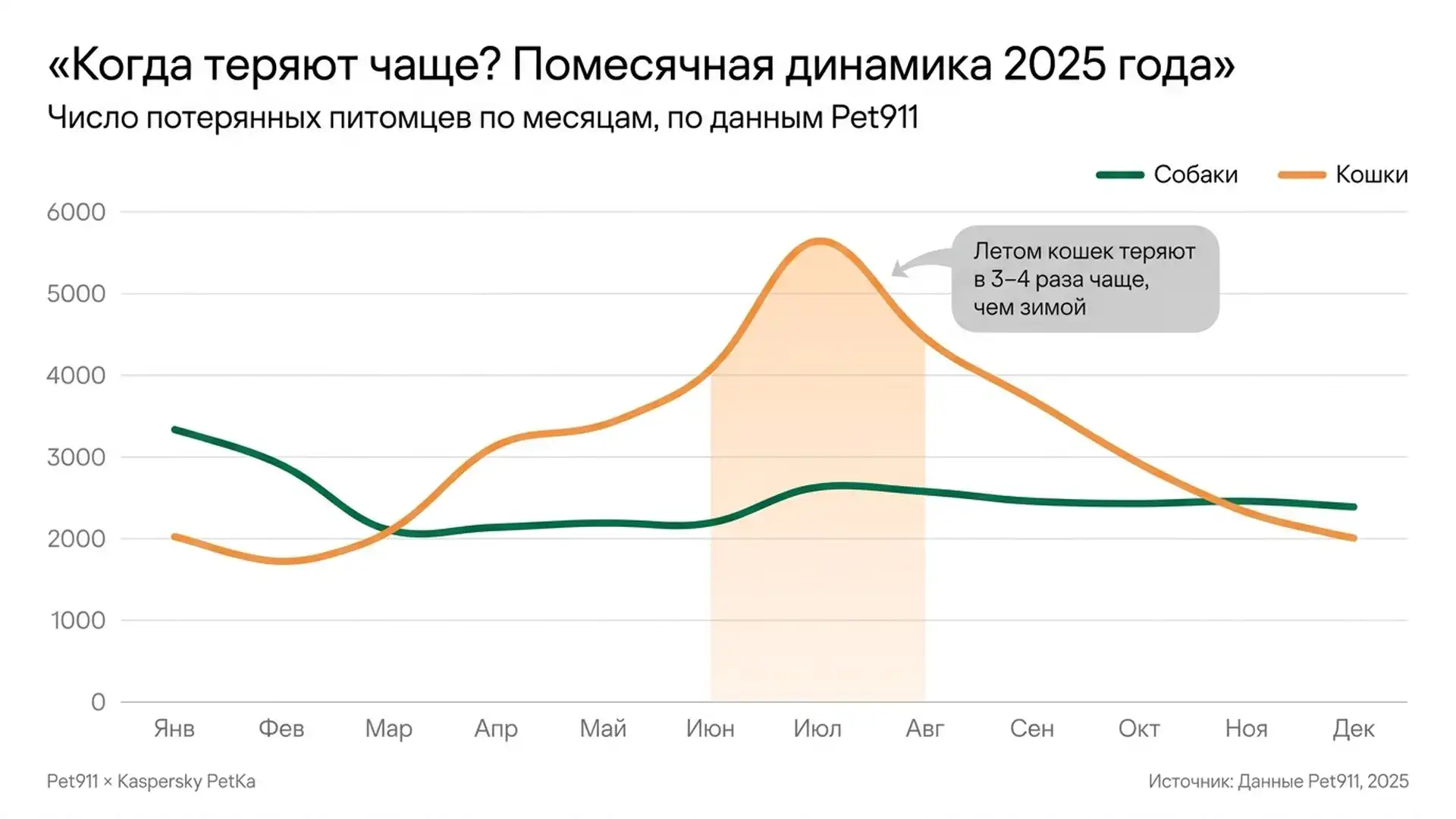 Открытое окно с москитной сеткой летом через которое может выпасть кошка