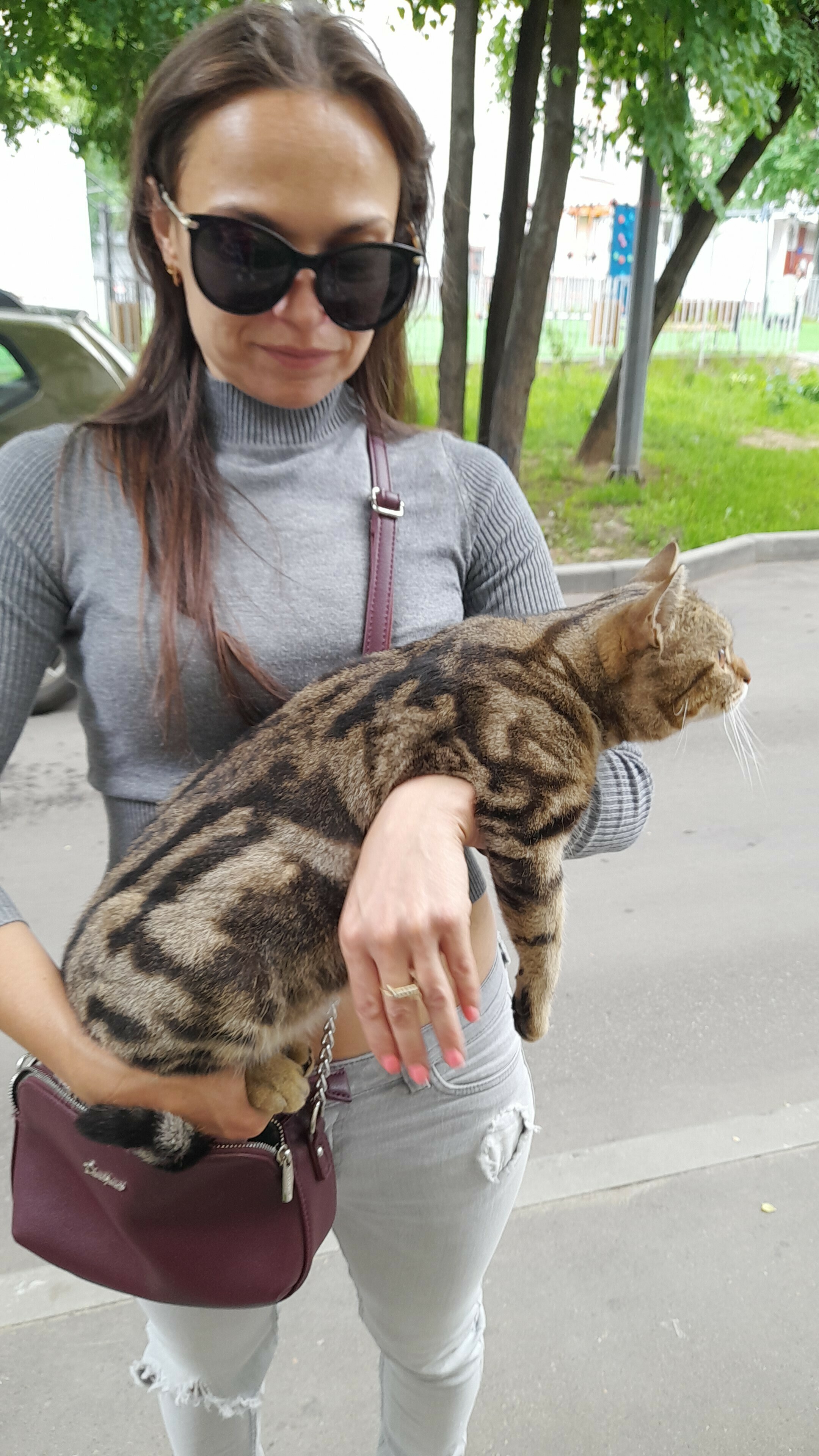 Кошка найдена на Азовской 18