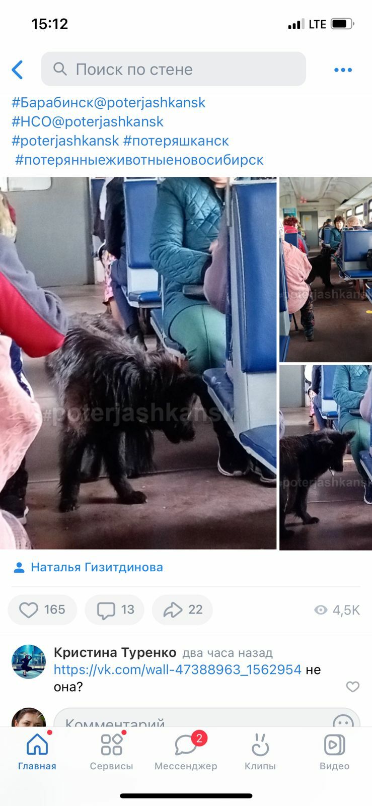Пропала собака в Новосибирске, последний раз видели на станции Барабинск, ул. Путевая, 18