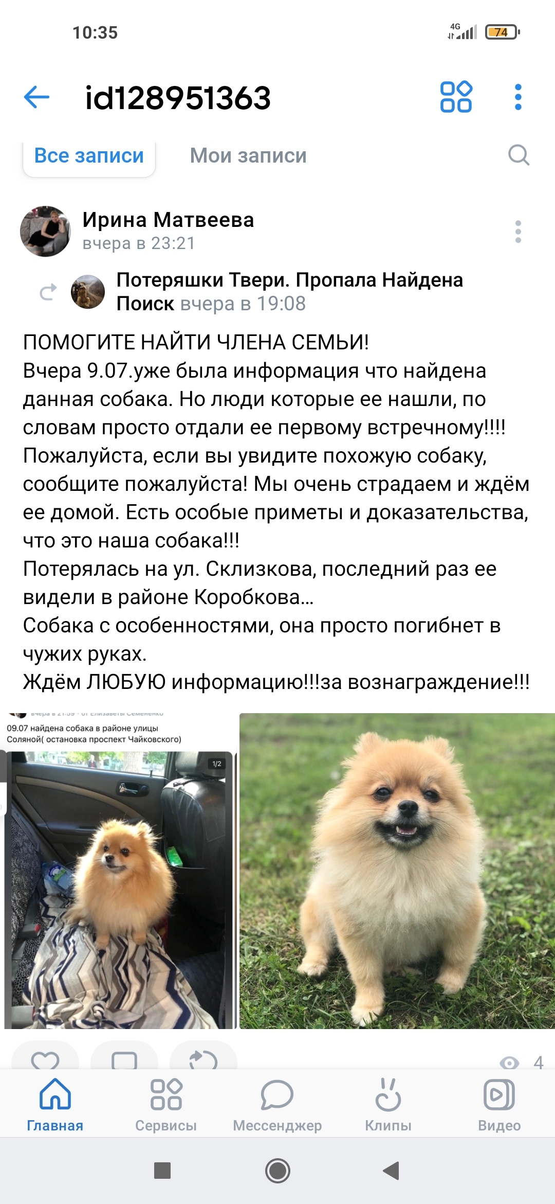 Пропала собака Померанский шпиц окрас Оранж, пр. Чайковского, 21, Тверь