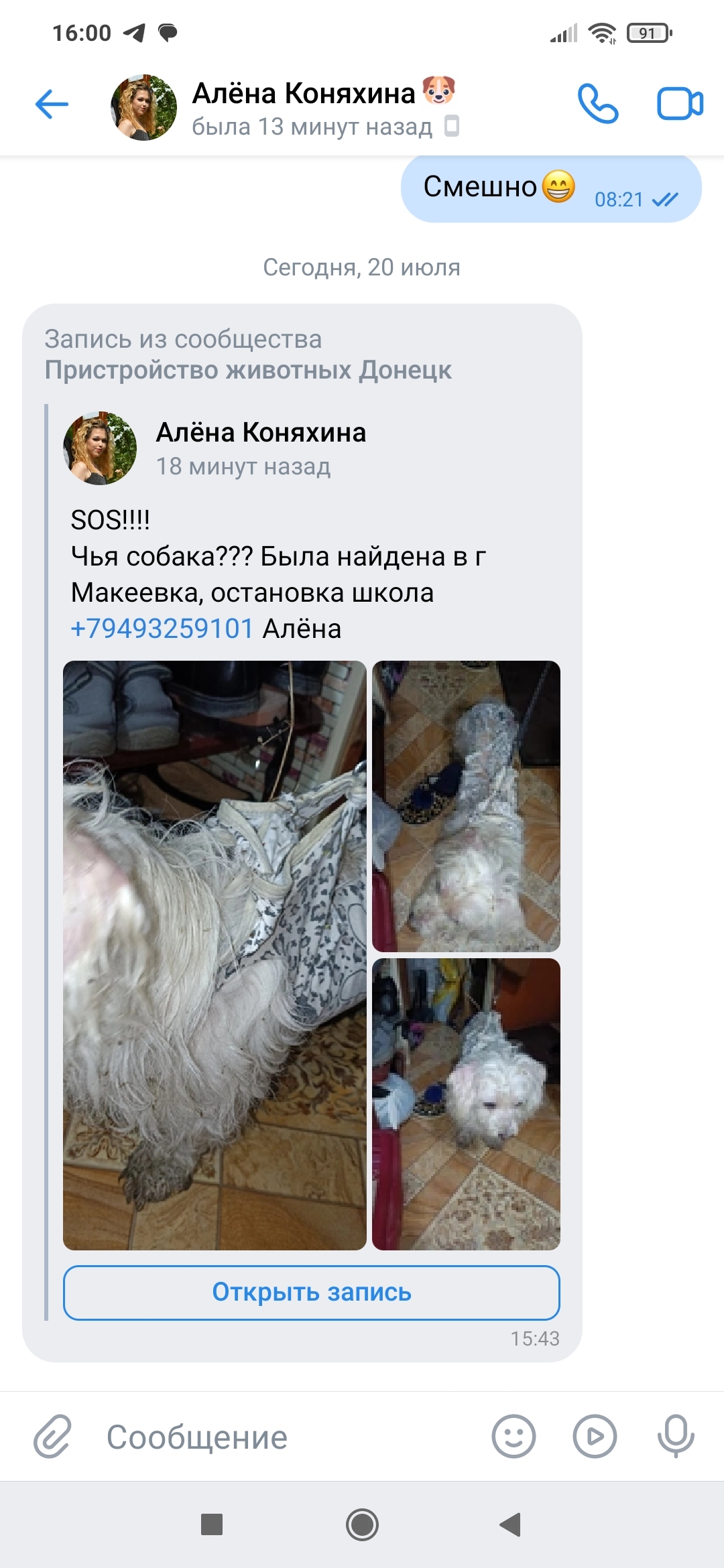 Собака найдена на Болотной площади, Москва