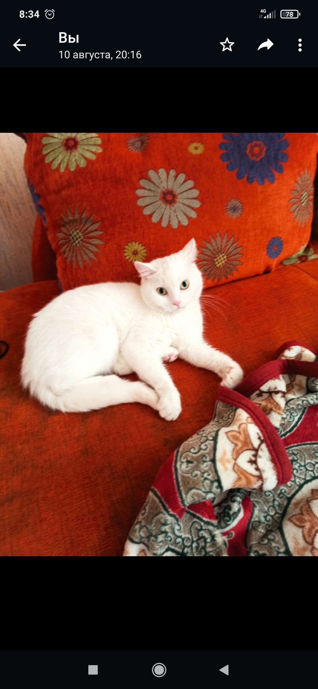 Пропала белая глухая кошка в Старом Осколе