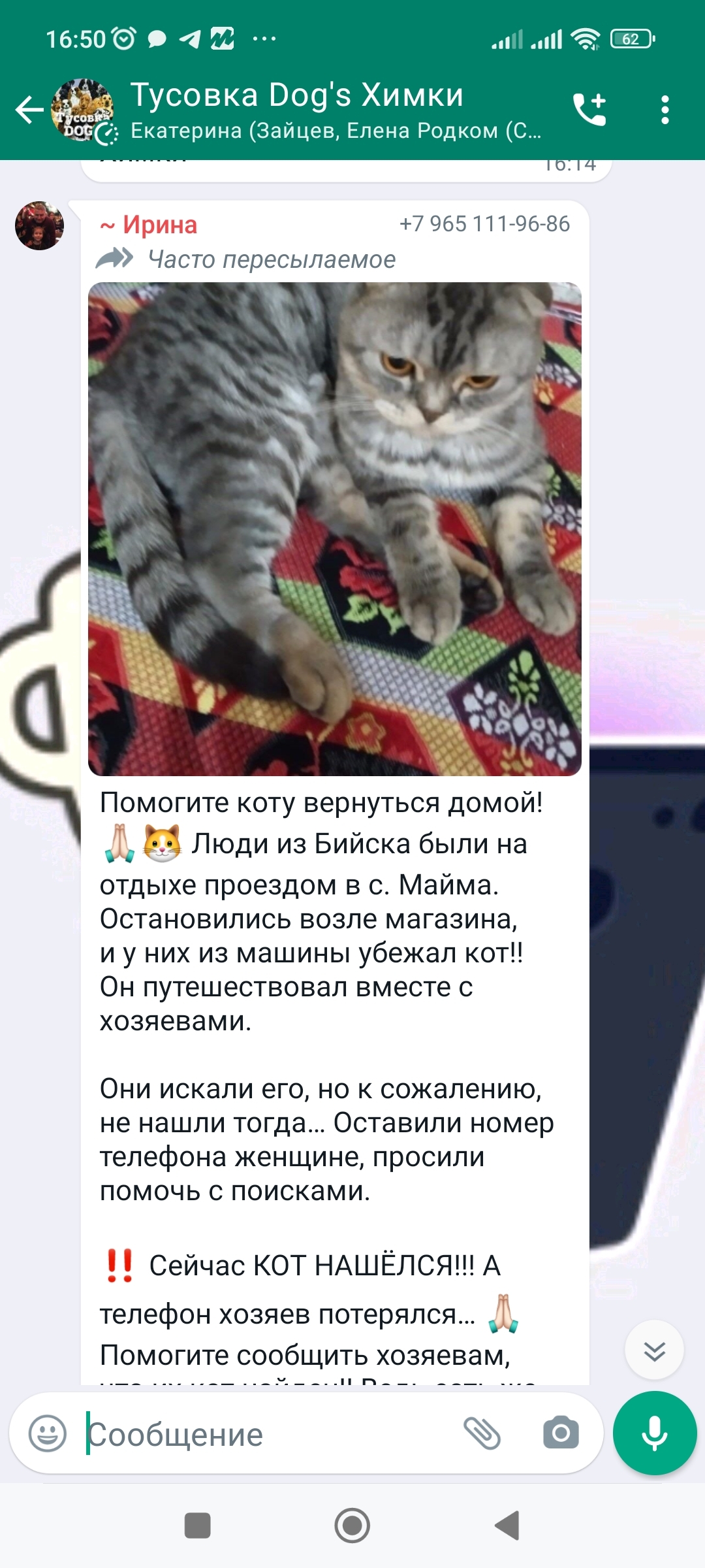 Найдена кошка на ул. Юннатов, Химки