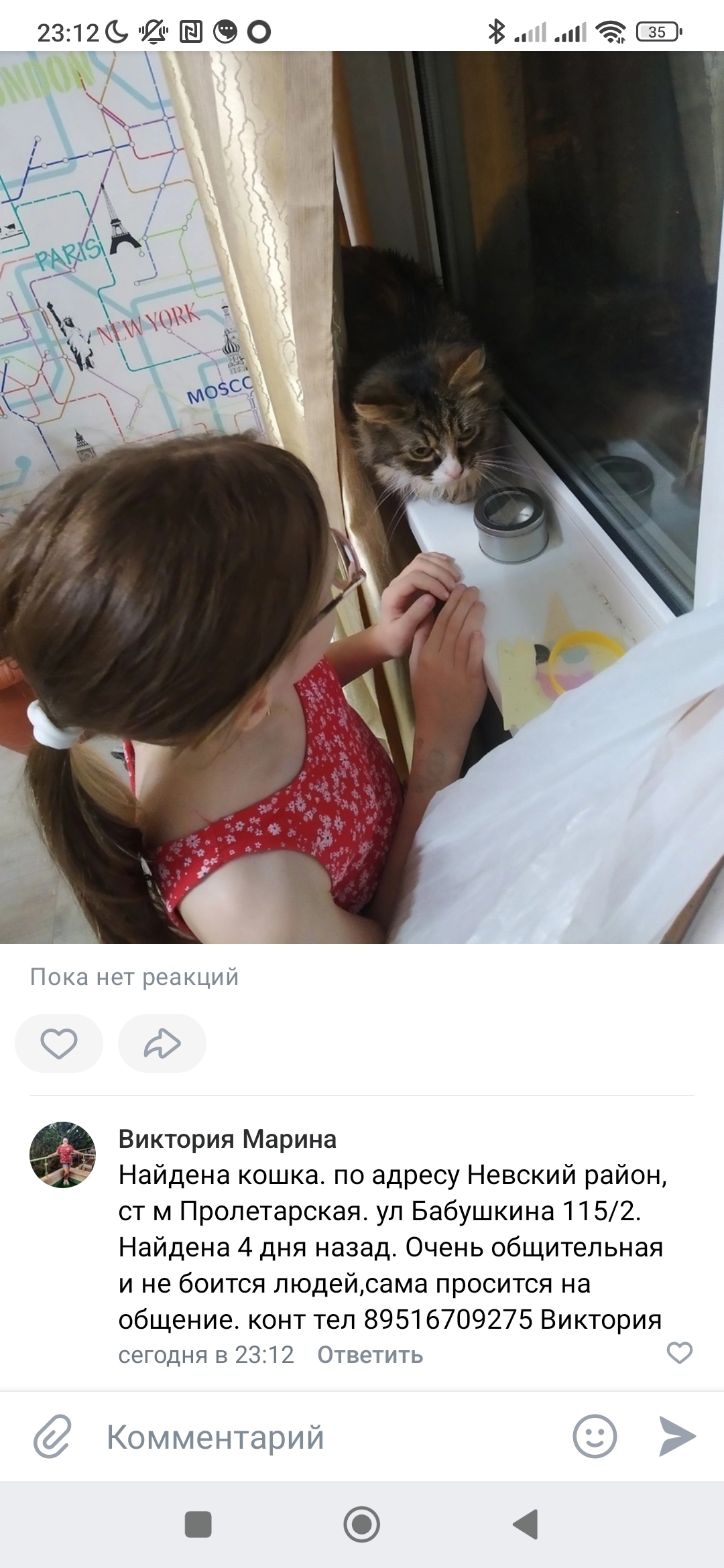 Найдена пушистая трехцветная кошка, ул. Бабушкина, 115 к2 литД, Санкт-Петербург