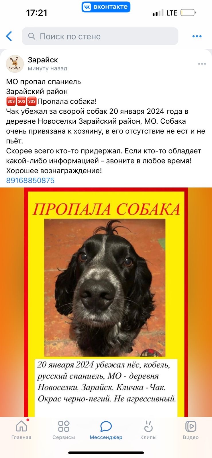 Пропала собака, 46Н-02573, Новосёлки
