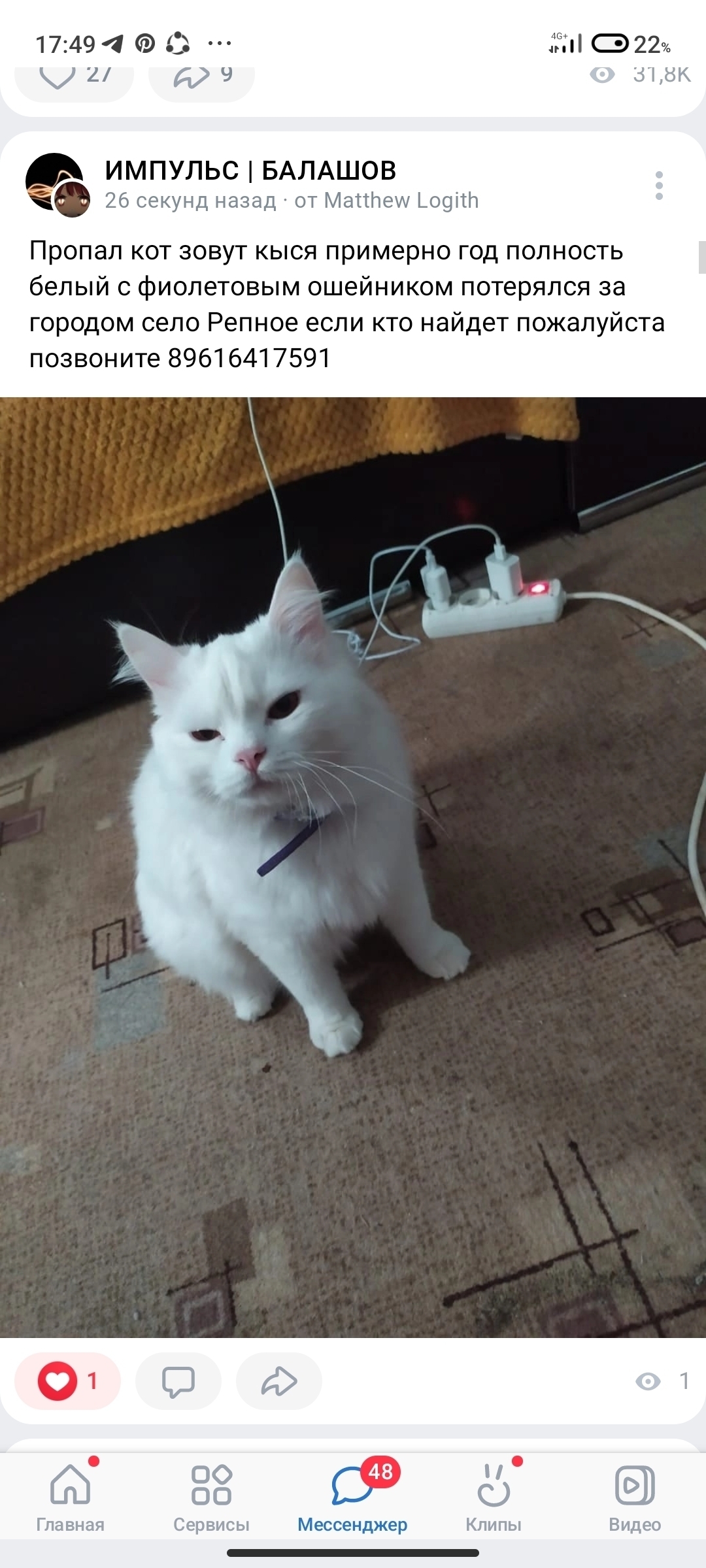 Пропала белая кошка с фиолетовым ошейником, Сосновый переулок