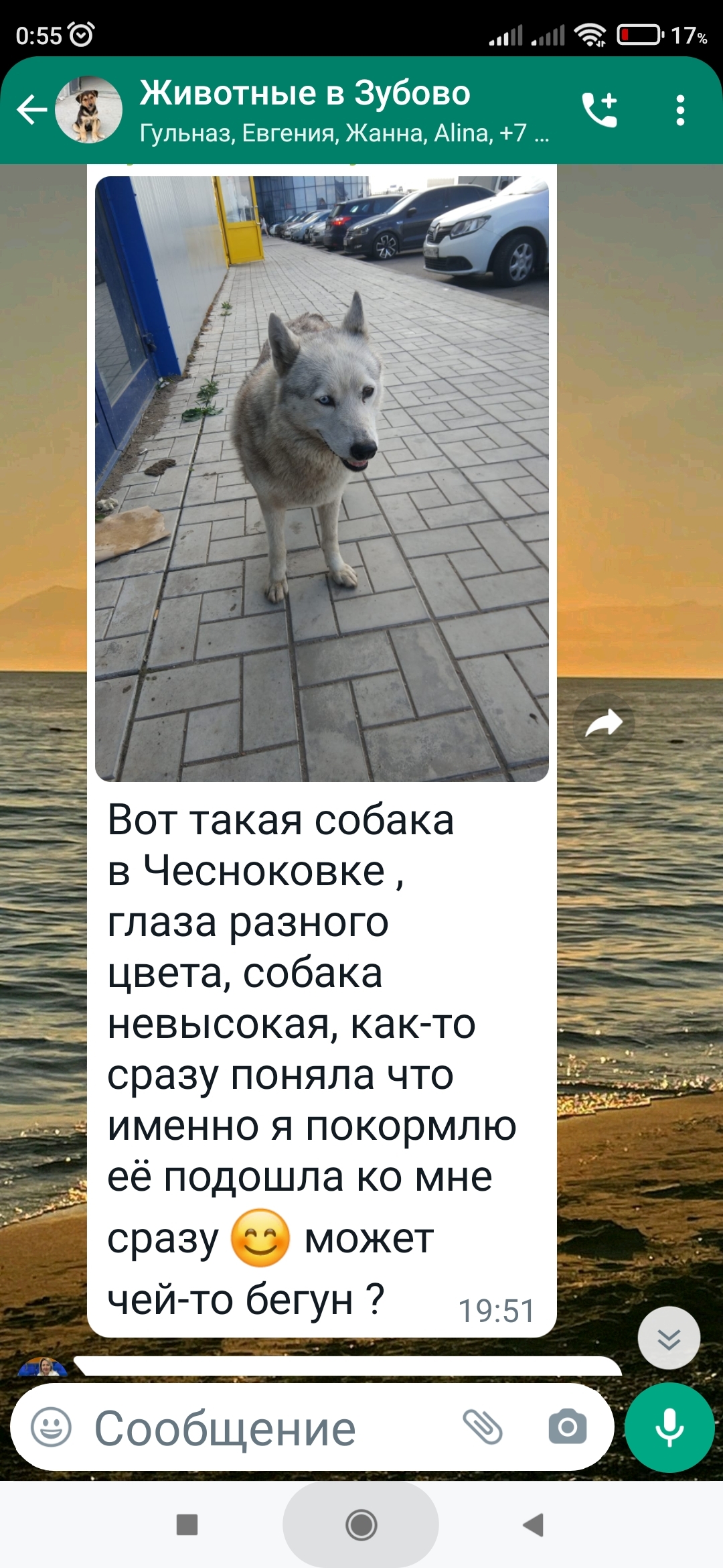 Собака с кутятами на Школьной улице, Чесноковка