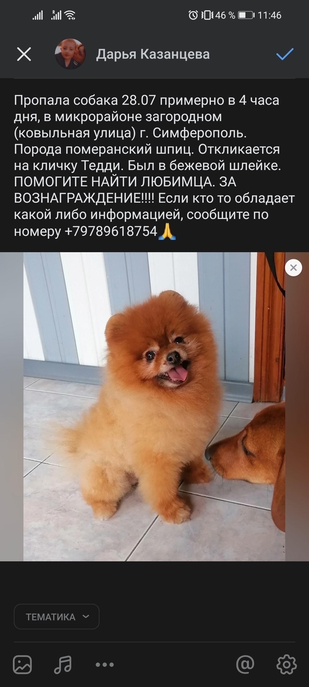 Пропала собака в Симферополе, Ковыльная улица 94