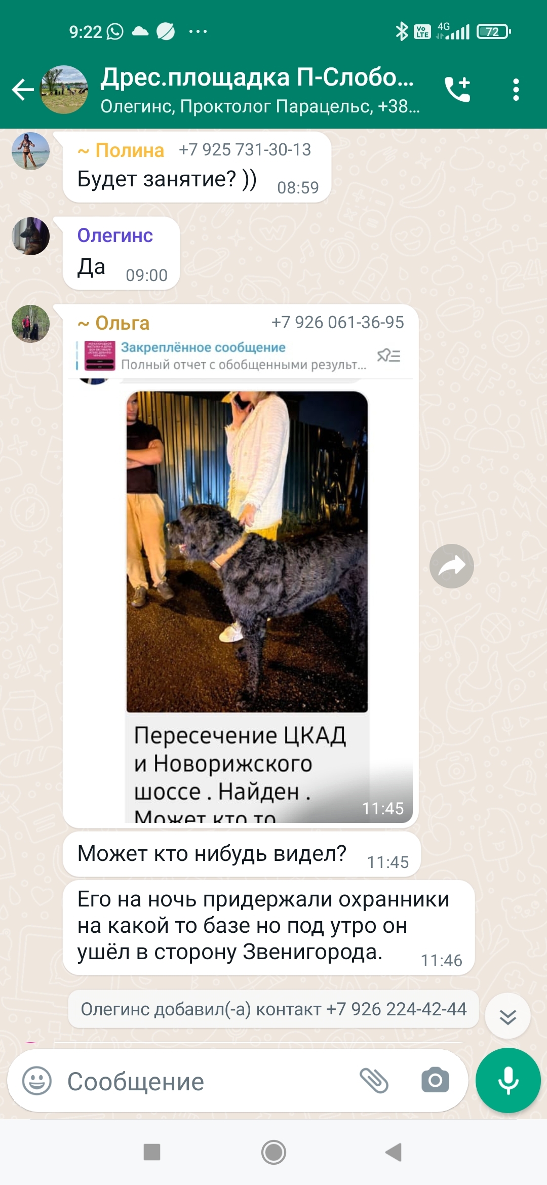 Пропала собака Русский черный терьер на Новорижском шоссе