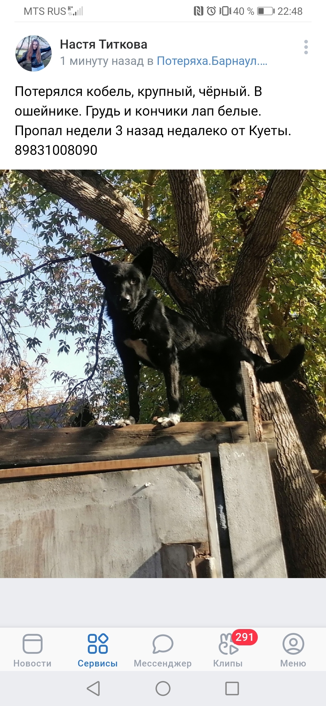 Пропала собака Крупный, чёрный кобель. Южный проезд, Барнаул