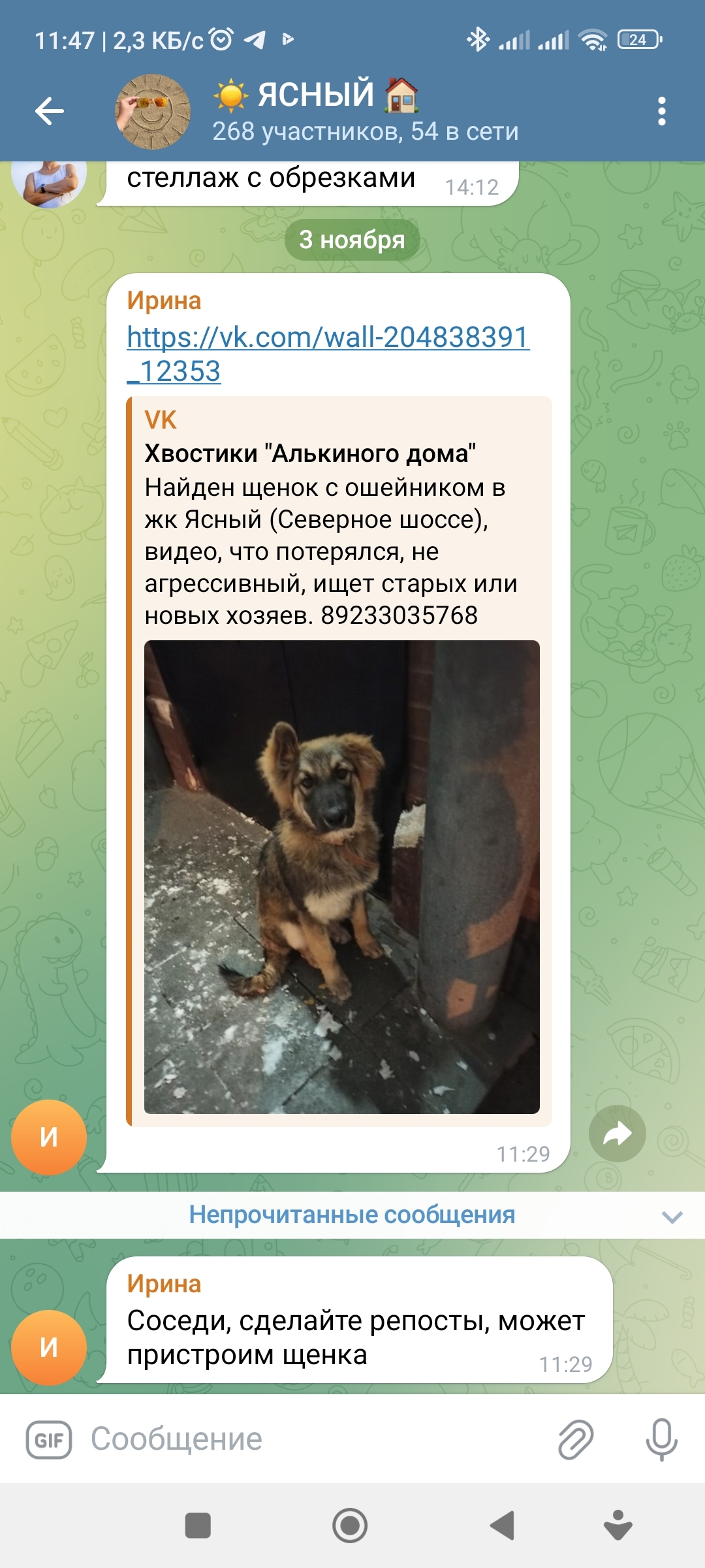 Собака на Северном шоссе, 48, Красноярск