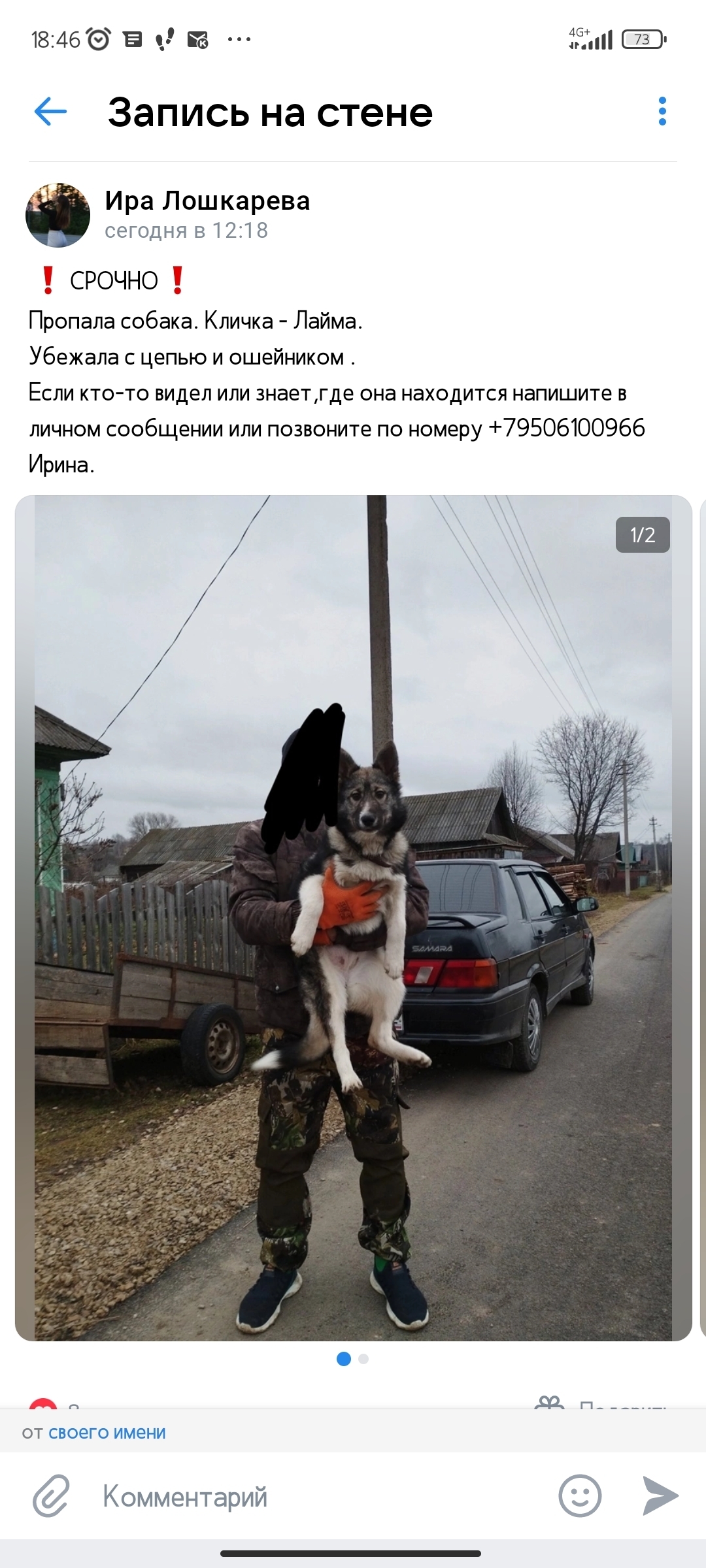 Пропала собака в Тонкино, НижОбл
