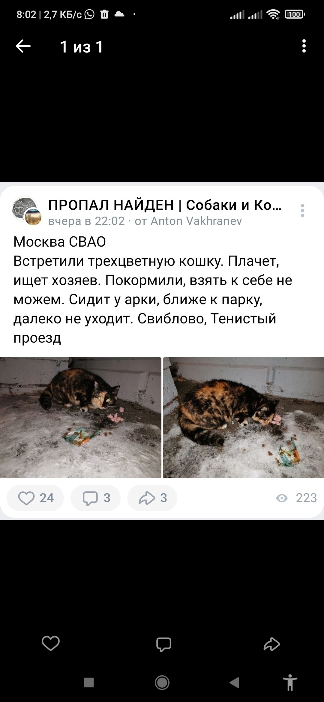 Найдена кошка: Тенистый проезд, 4